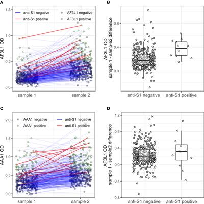 Impact of SARS-CoV2 infection on anti-apolipoprotein A-1 IgG response in inflammatory rheumatic diseases
